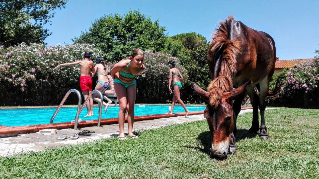 Agriturismo Il Bottaccino Monsummano Terme Eksteriør billede